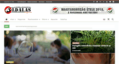 Desktop Screenshot of oldalasmagazin.hu